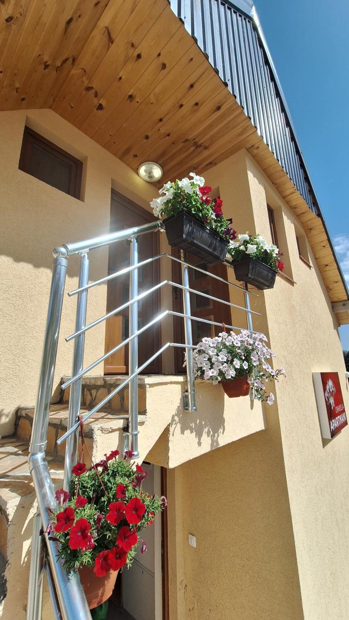 Apartments Orchidea Žabljak Exterior foto